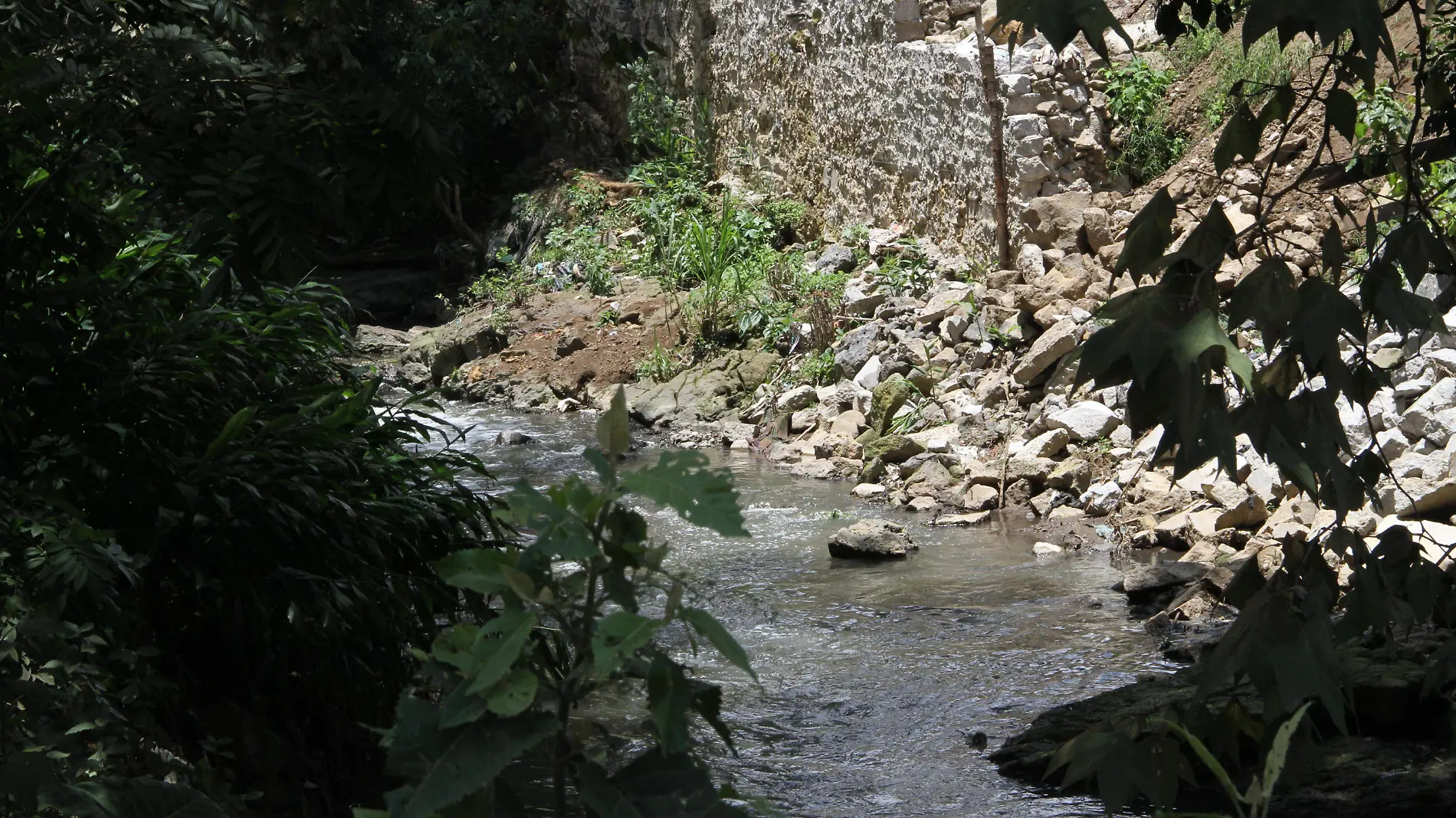 Contaminación en el río Sedeño